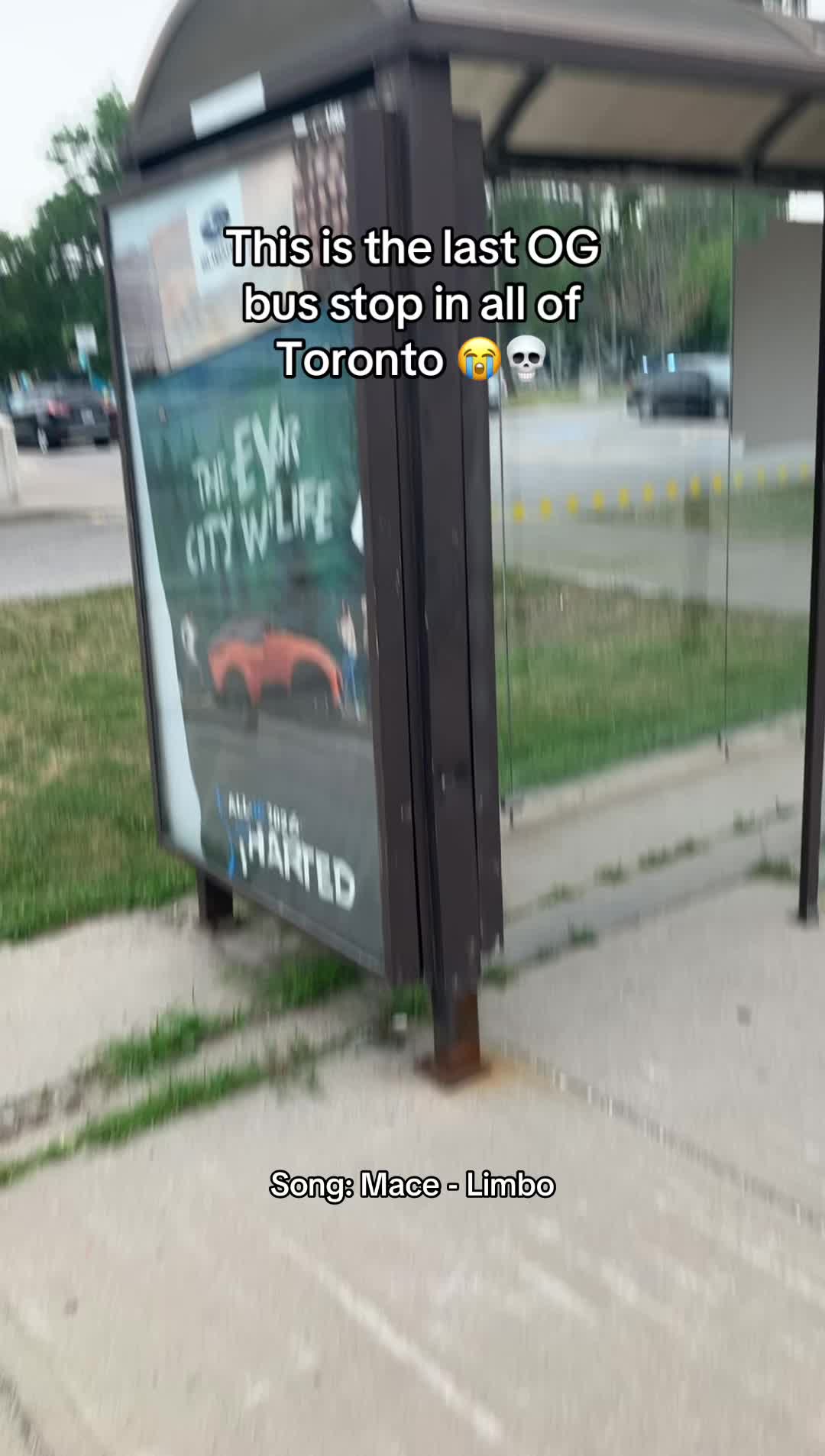 @Toronto Life