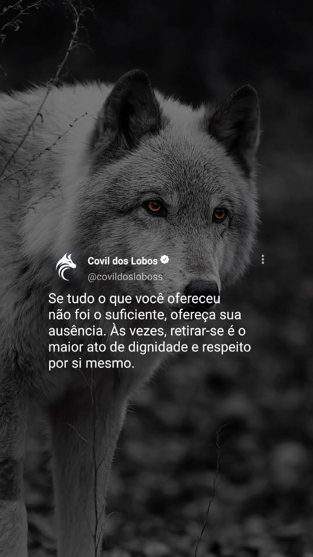 @Covil Dos Lobos