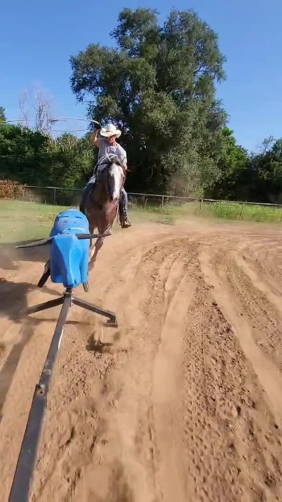 @scottdailyhorsetraining