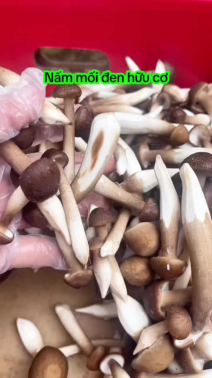 @nguyentuyet_79