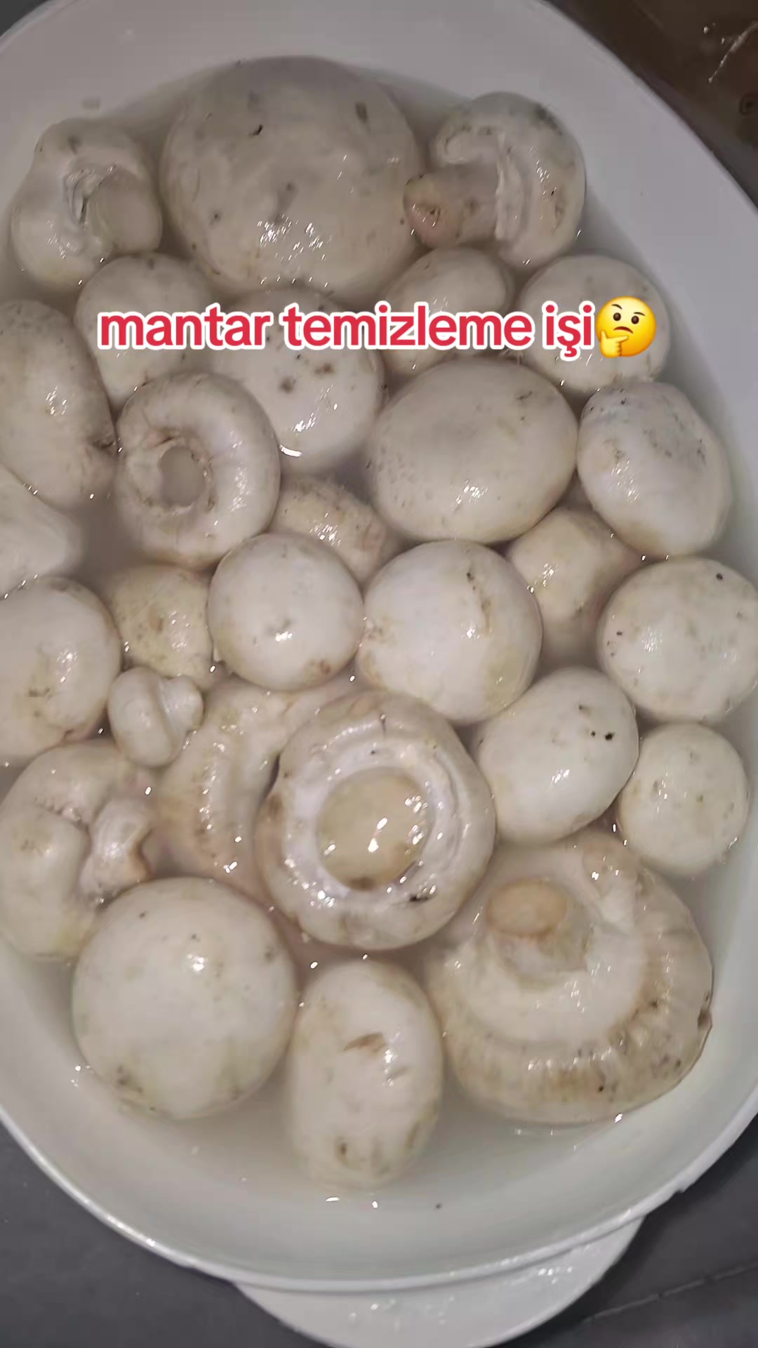 @neşe &ccedil;ebi_mtl55