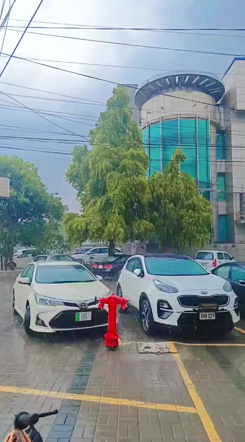 @Rao Ali Muhammad Rajput 7292