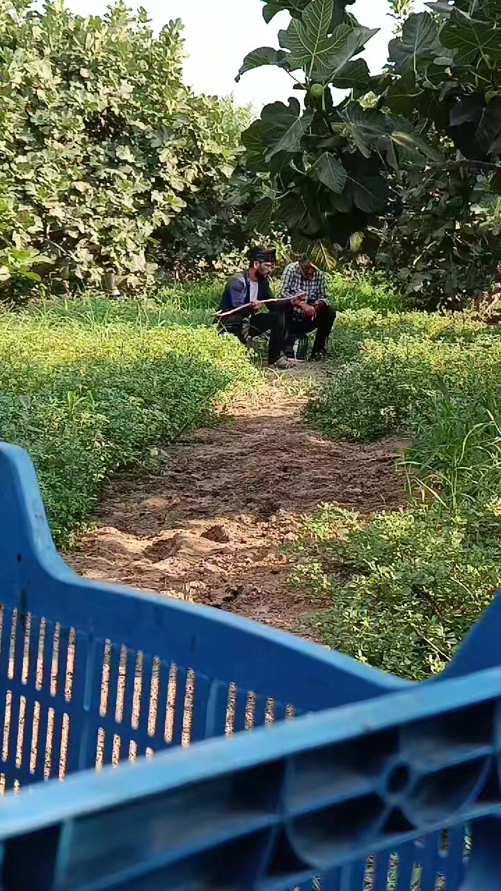 @firatavci315