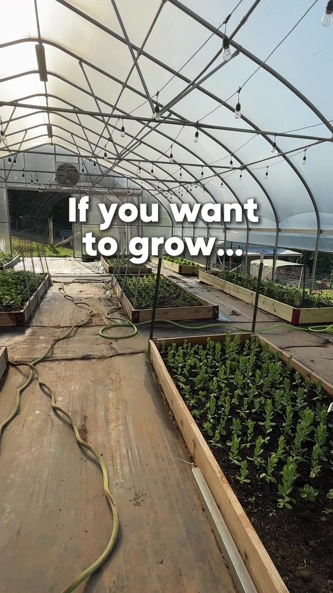 @Sweet BombDiggity Farms
