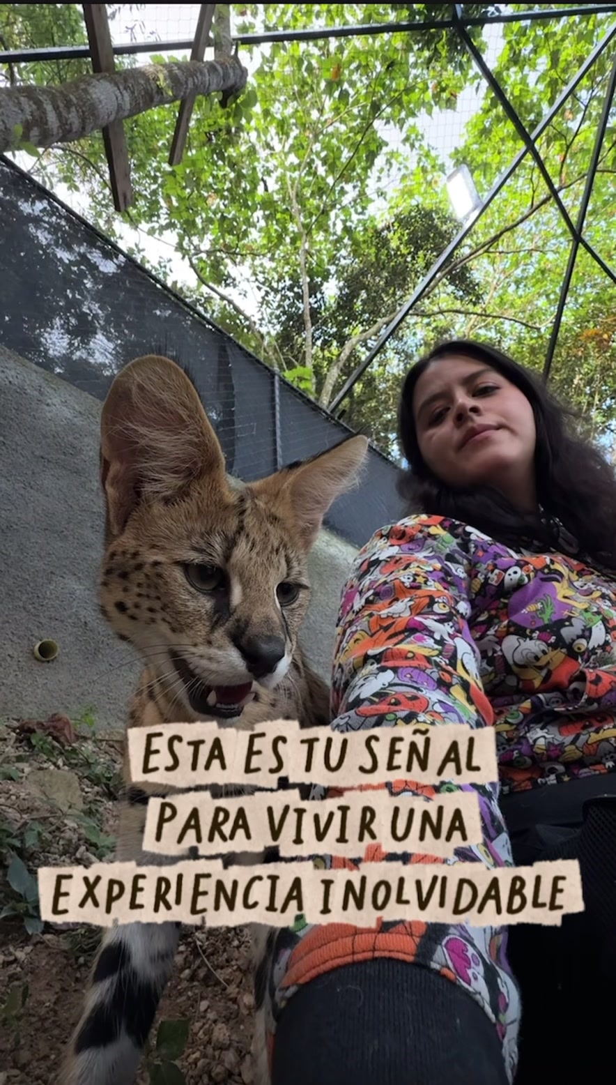 @La Casita del Avestruz