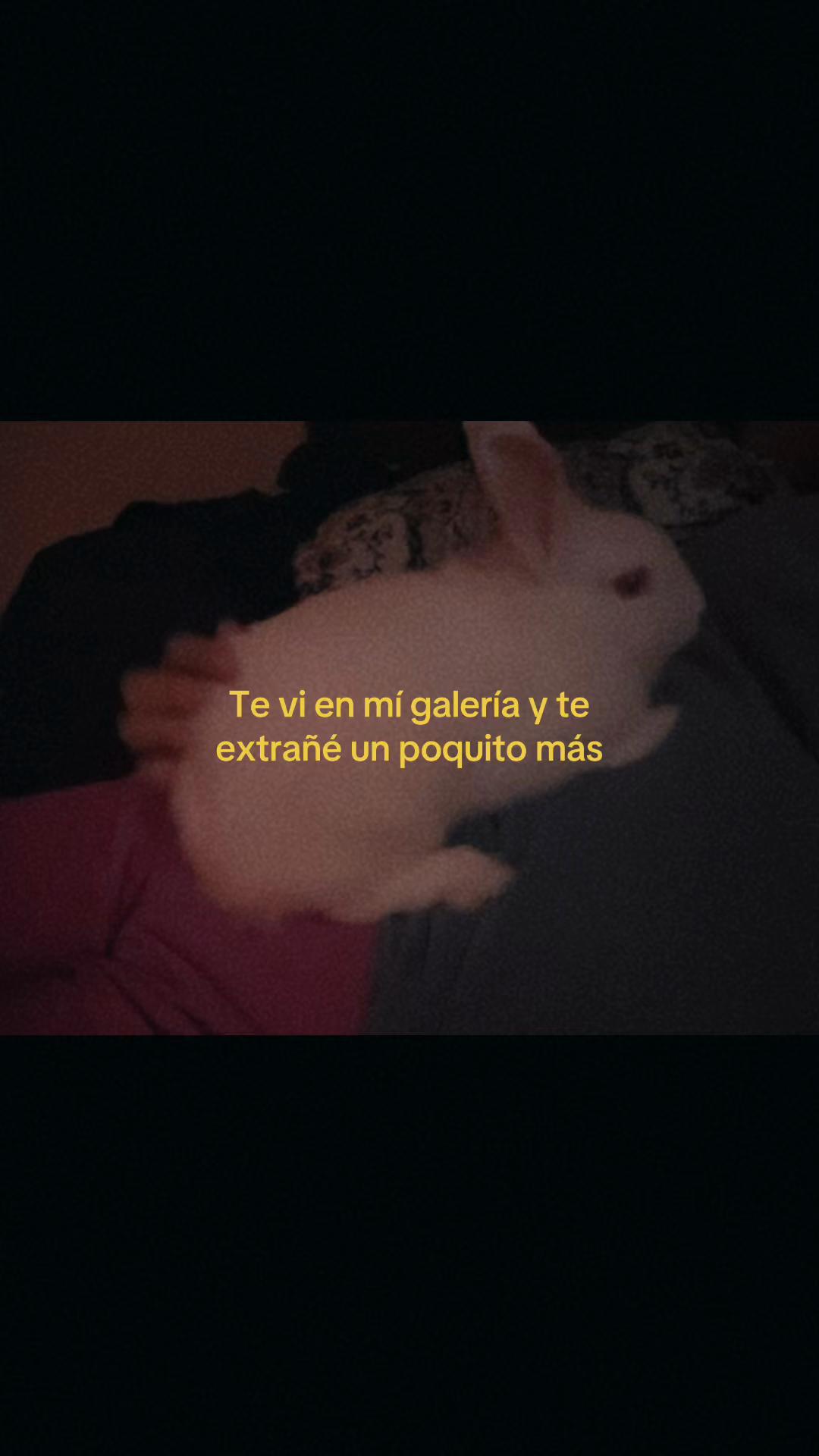 @irmitaaaaa
