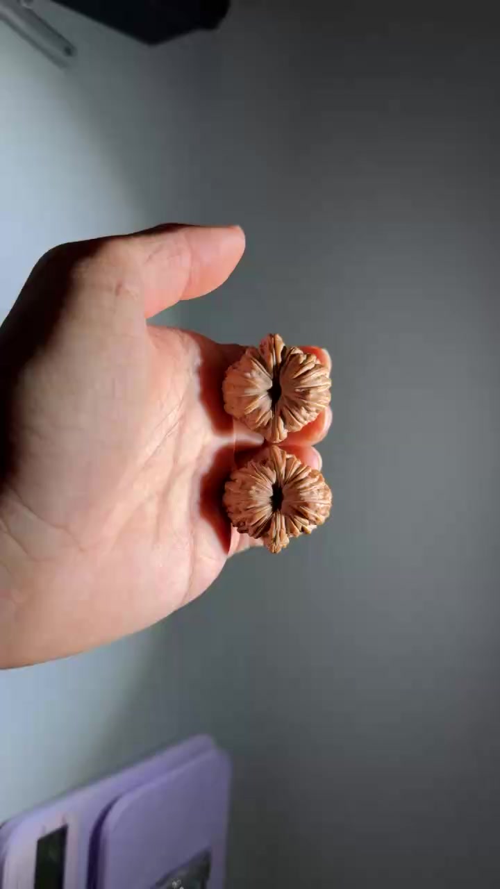 @GẤU HỒ Đ&Agrave;O