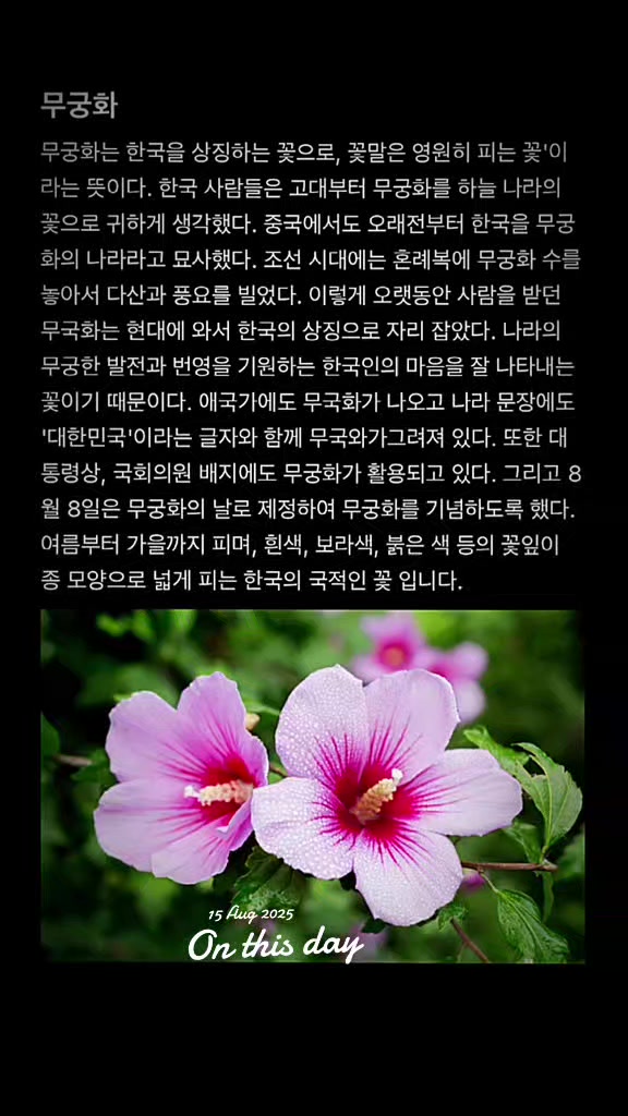 @🇳🇵 𝐔𝐫_𝐒𝐚𝐋𝐢𝐍_𝟎𝟕 🇰🇷
