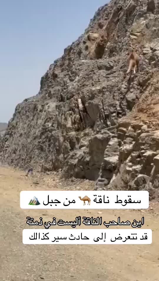 @obidaloni