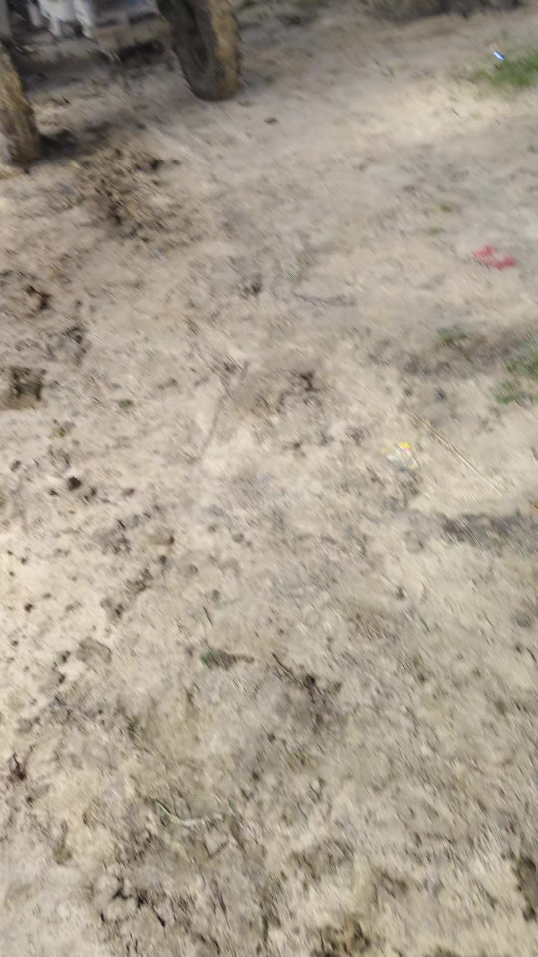 @97067120332