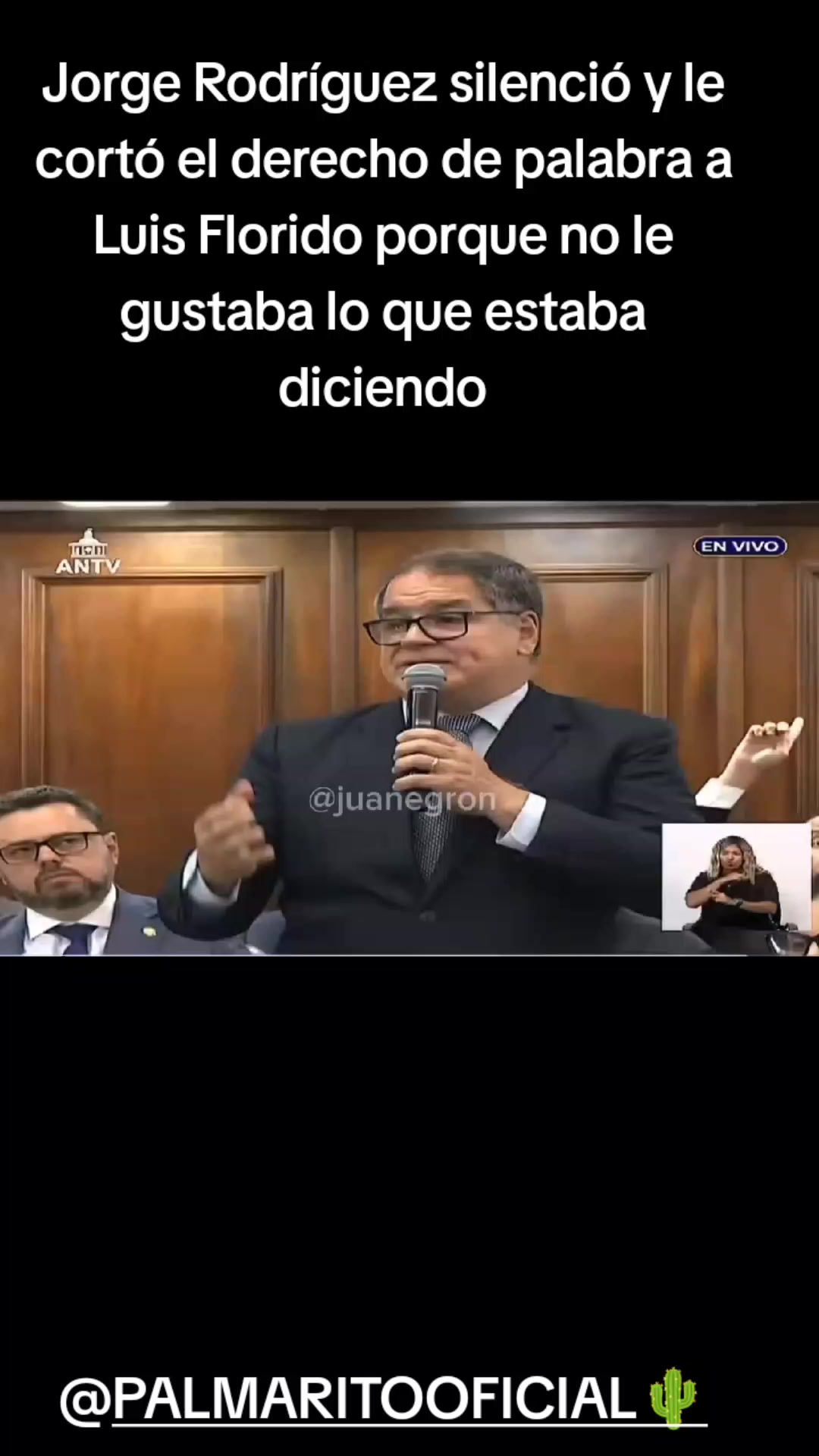 @PALMARITOOFICIAL 🌵