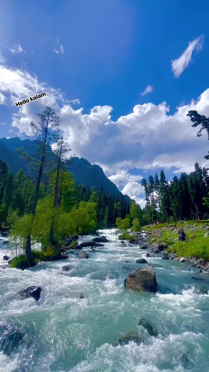 @Adil