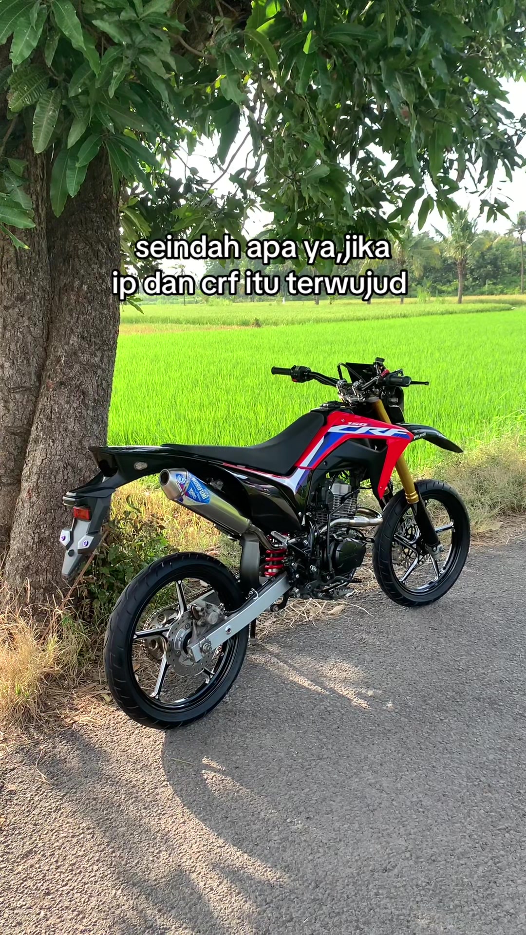 @Yose Arizal