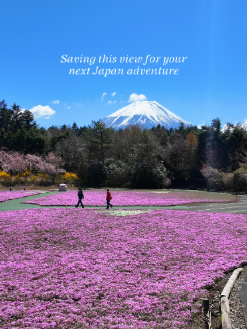 @Yamada | 1-Day Trip To Fuji