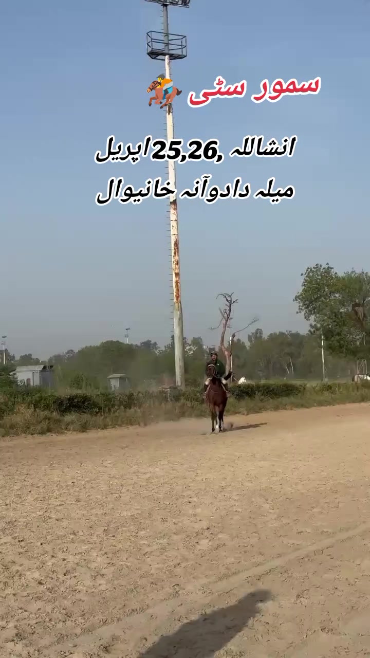 @samor 1