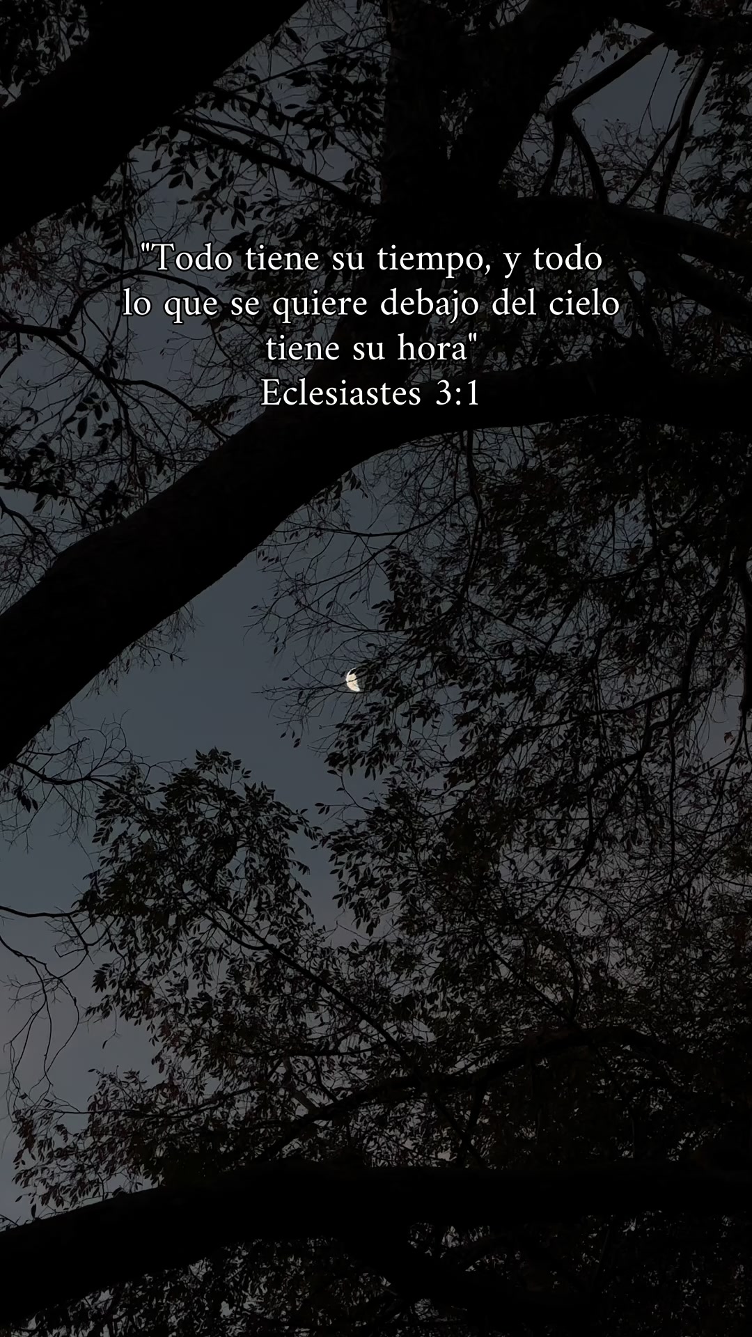@Infinitas palabras🫀
