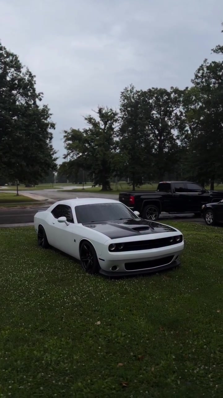 @Dodge Expert