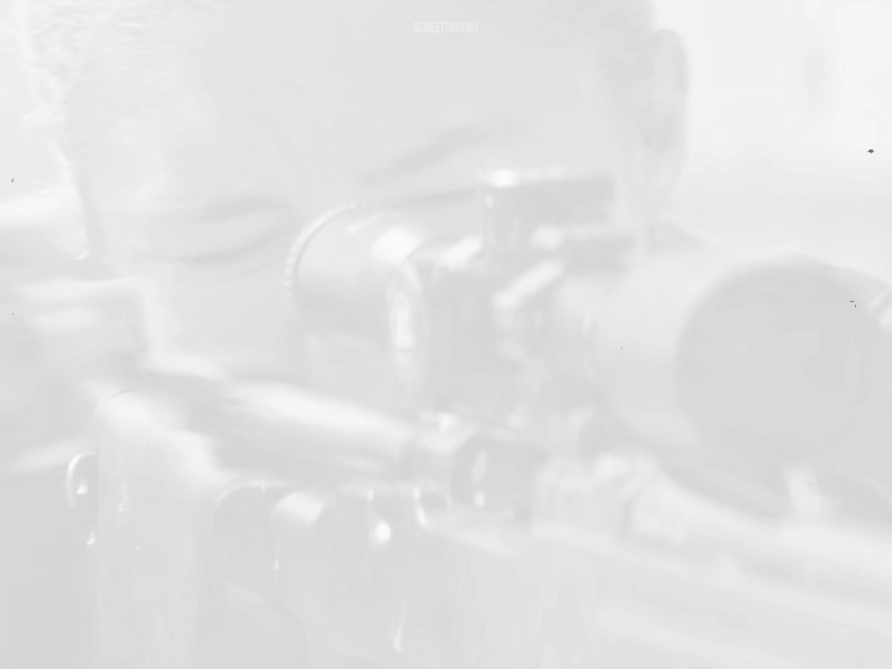 @𝓢𝓬𝓪𝓻⧗