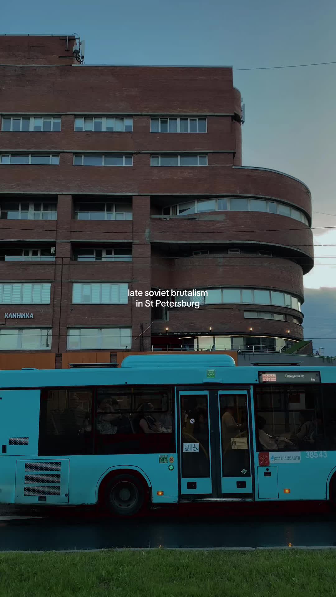 @sad_pigs