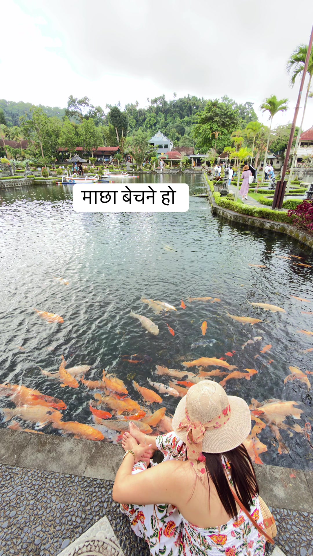 @npkamala🇦🇺🇳🇵🙏💕