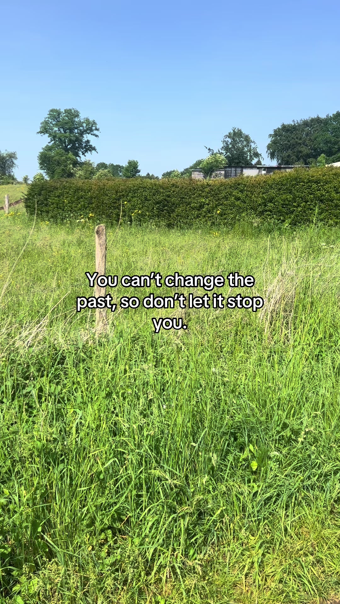 @the real thoughts
