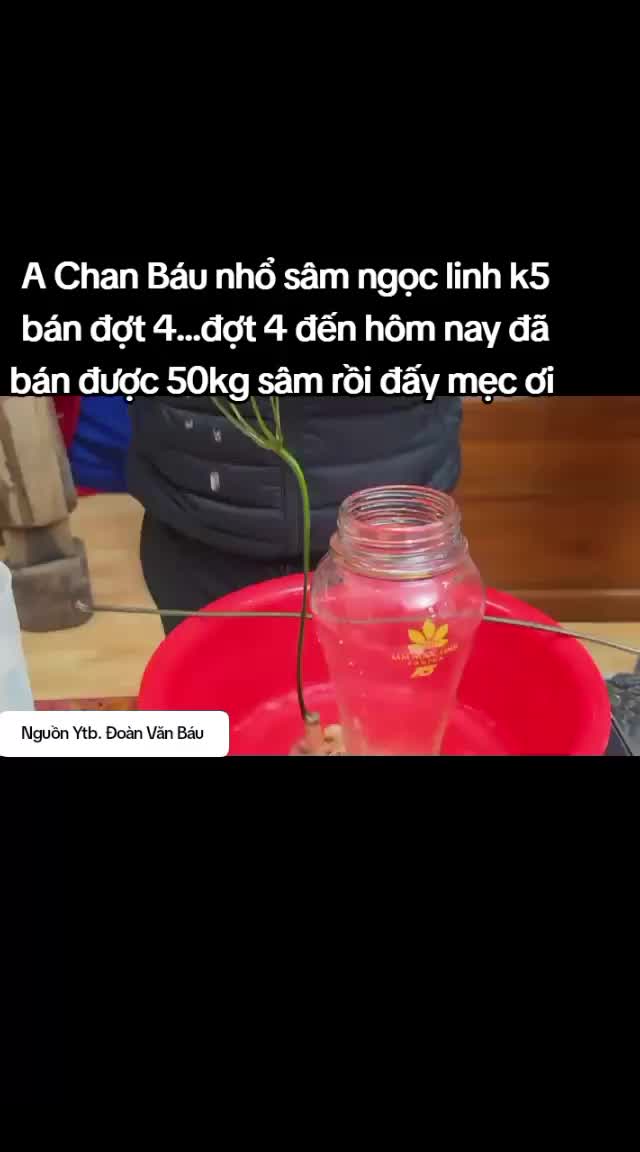 @Chanel Nguyễn