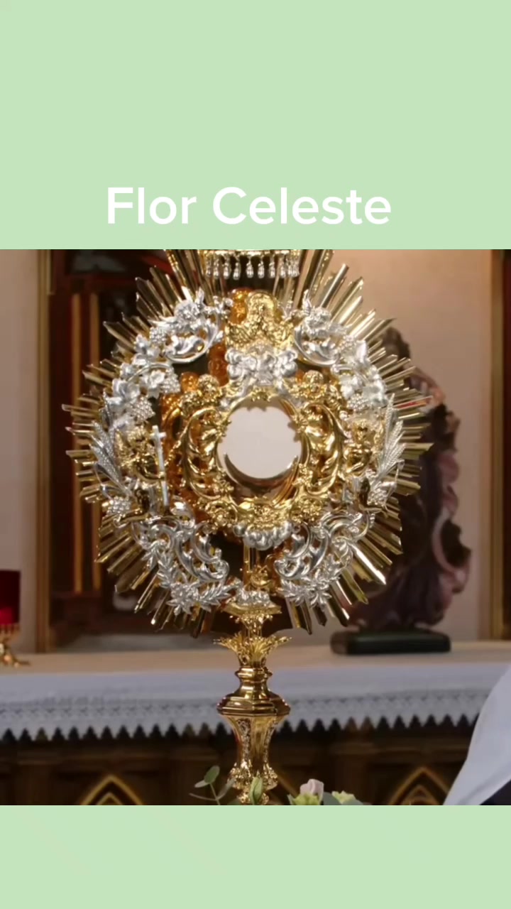 @Soso.Acutis🇻🇦