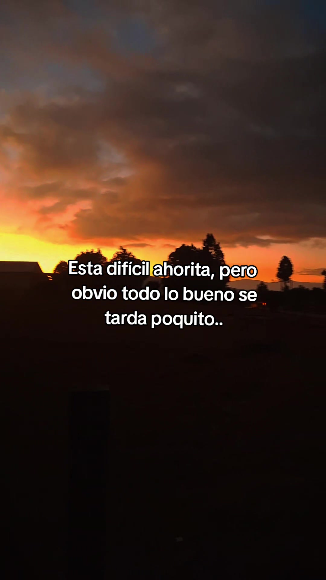 @🐑🦭Juar&eacute;z🦦🪼P