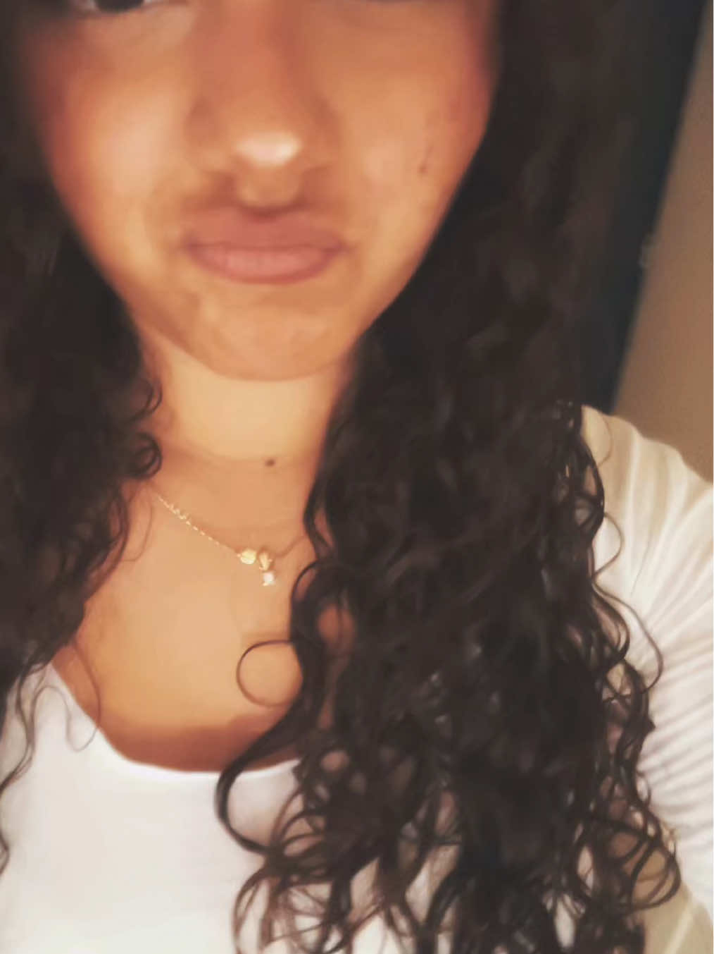 @🐚