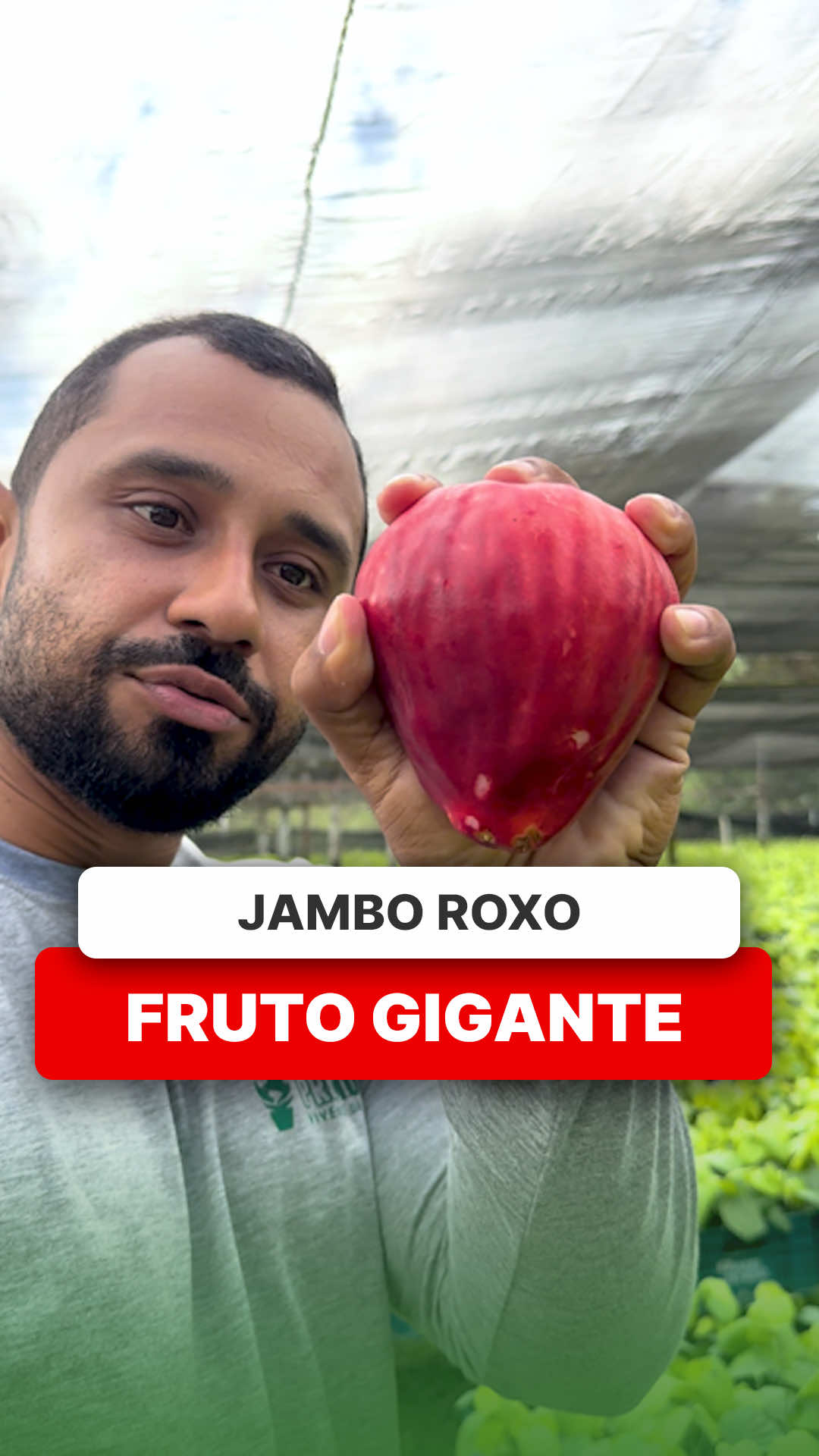 @ViveiroProMudas