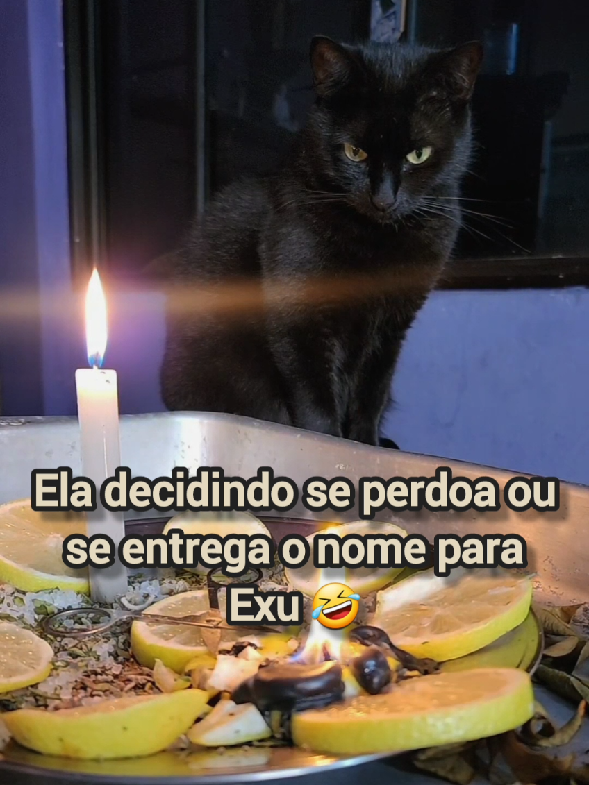 @Barbara Moreno