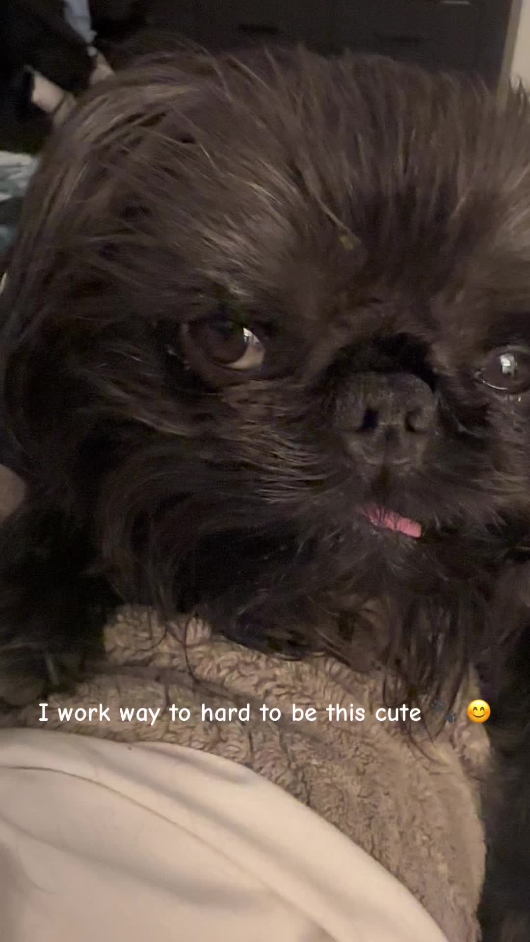 @LifeWithAdriancito