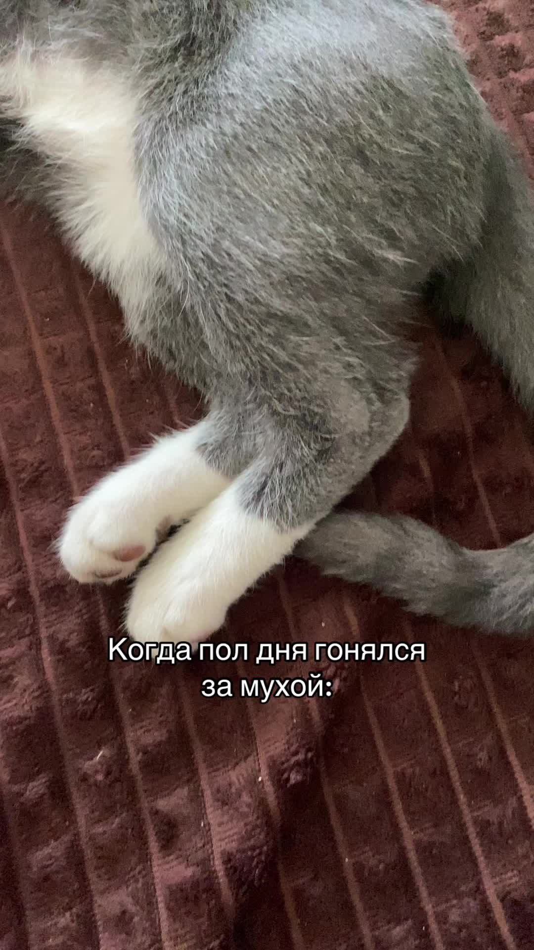 @an.nww🪽