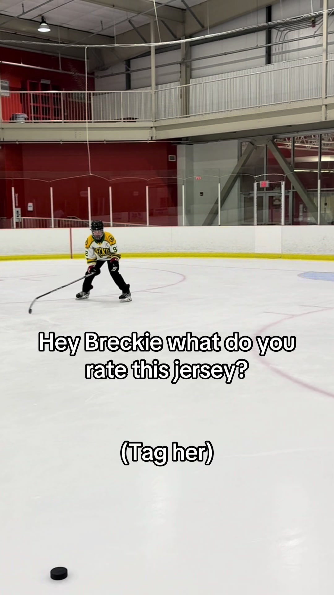 @Hockey Legend