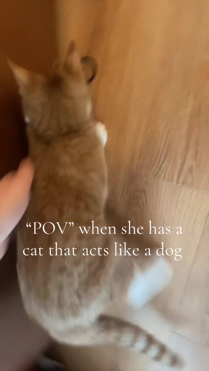 @OTR_ Phab