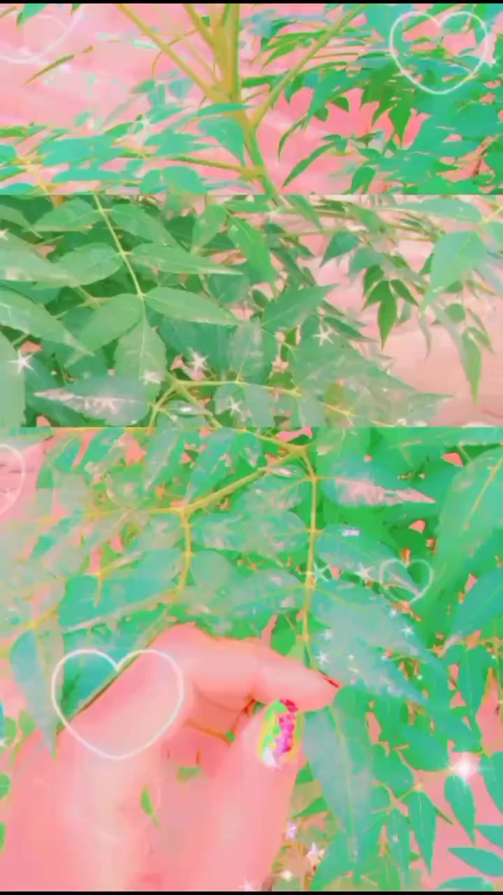 @Ali Shahbaz