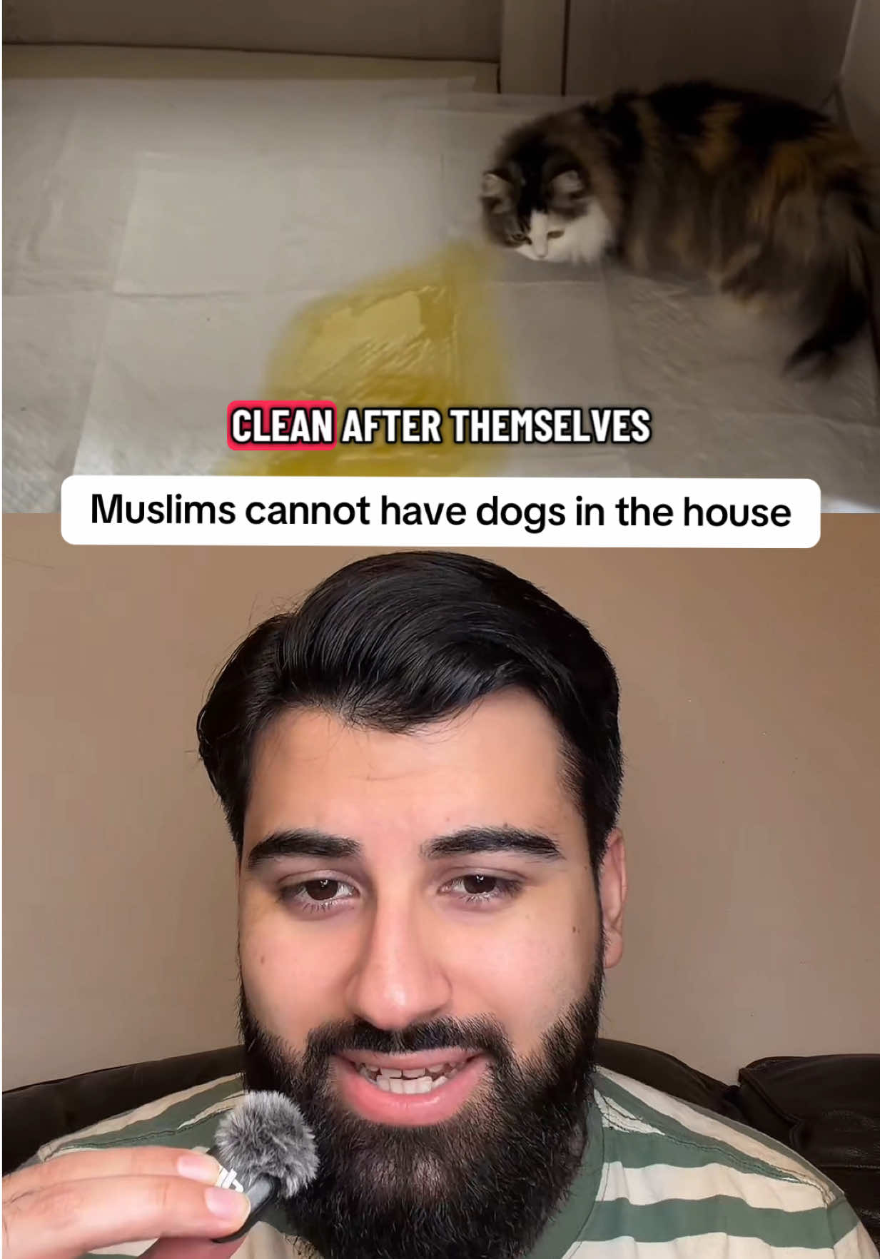 @Tallie Dar