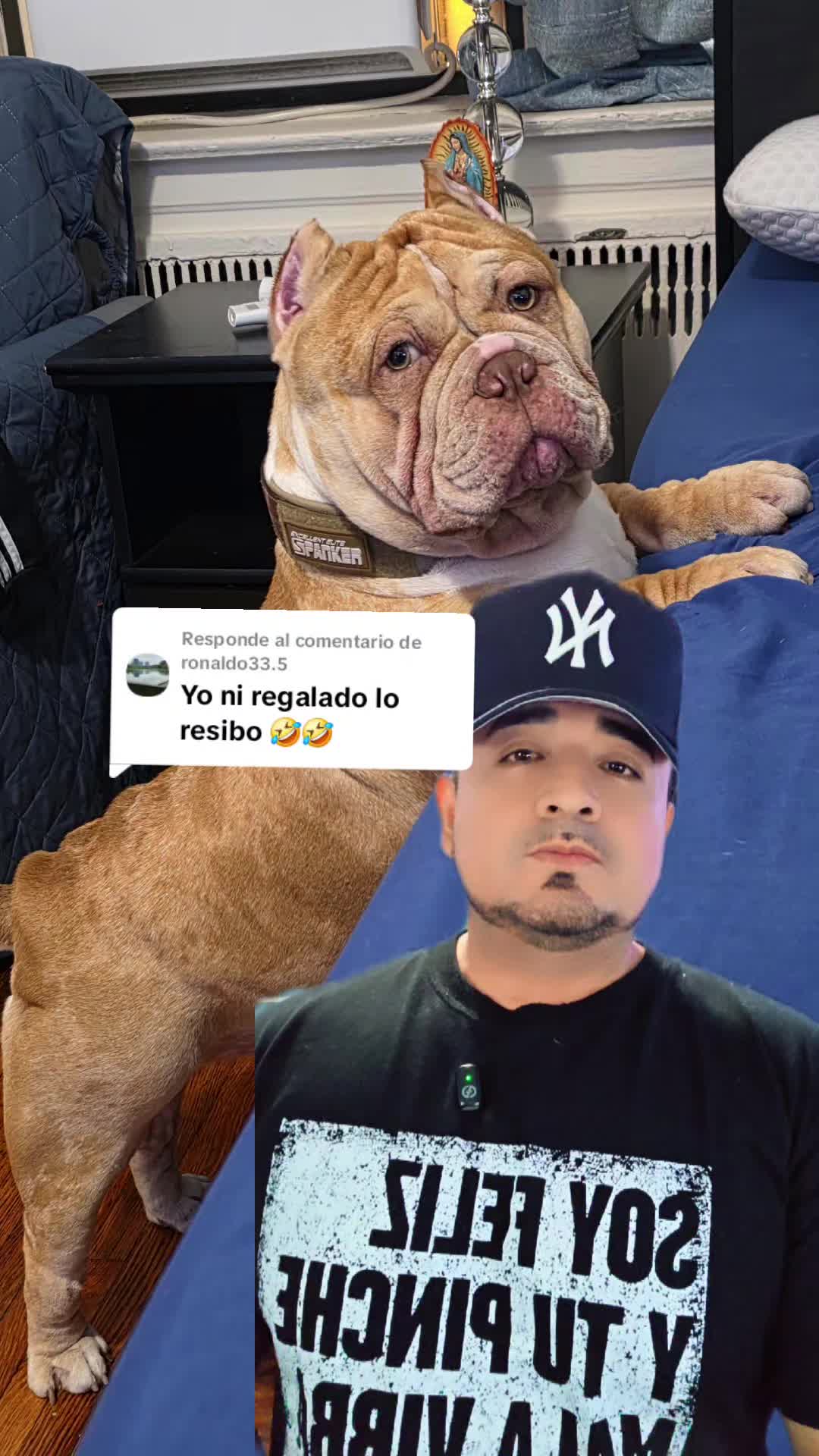 @carlos quintero