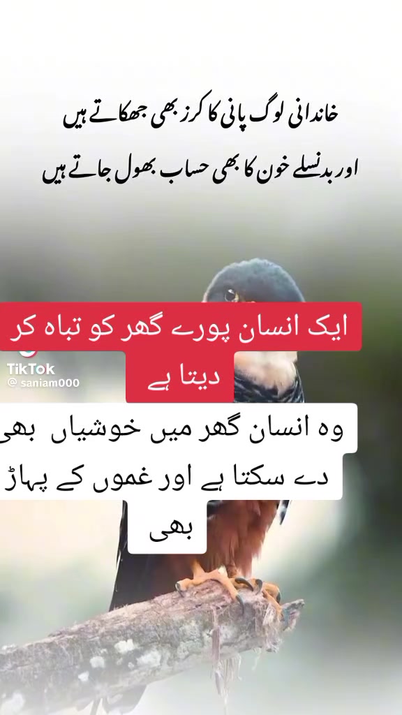 @Bhatti Sahab