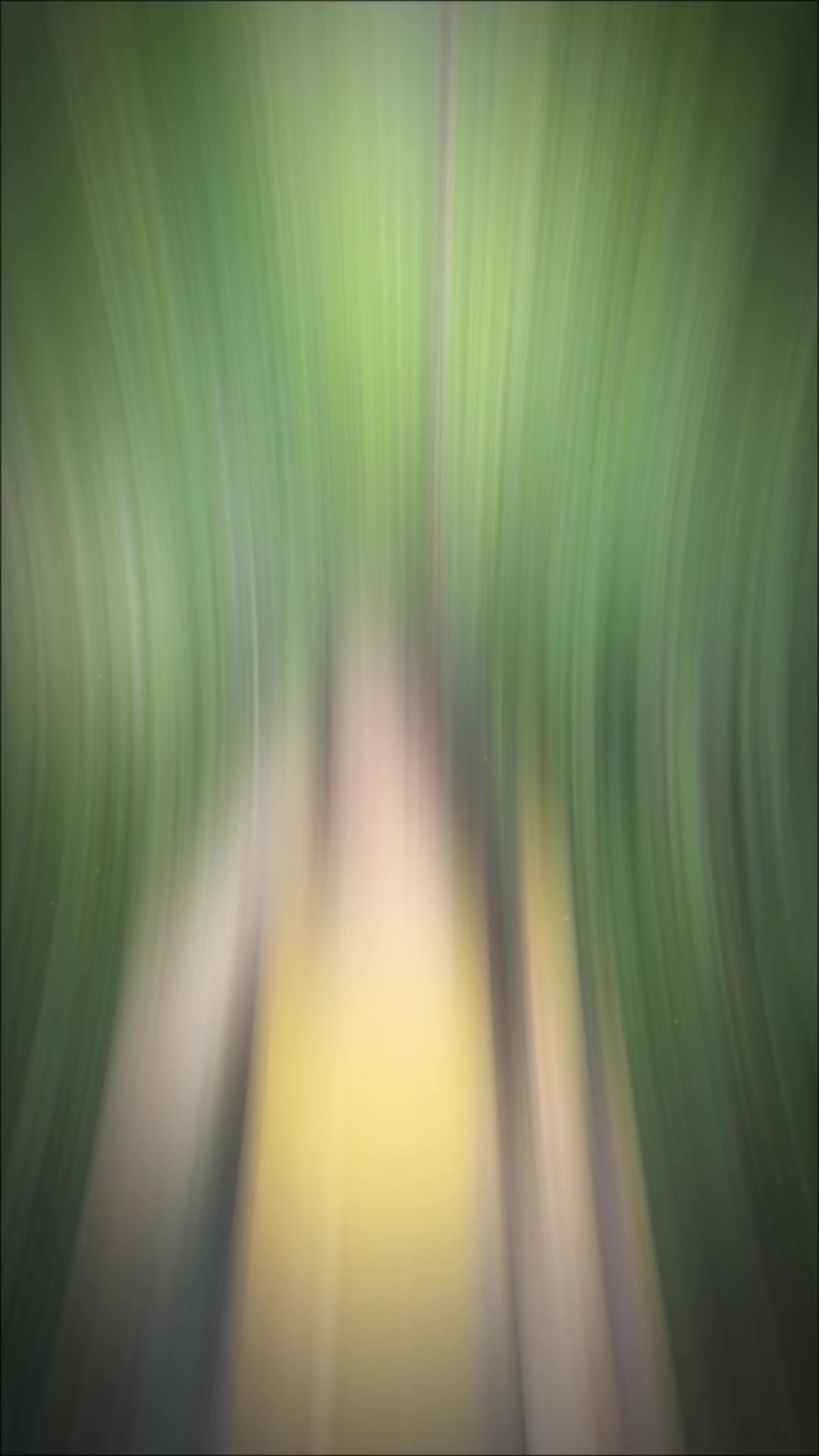 @🍃