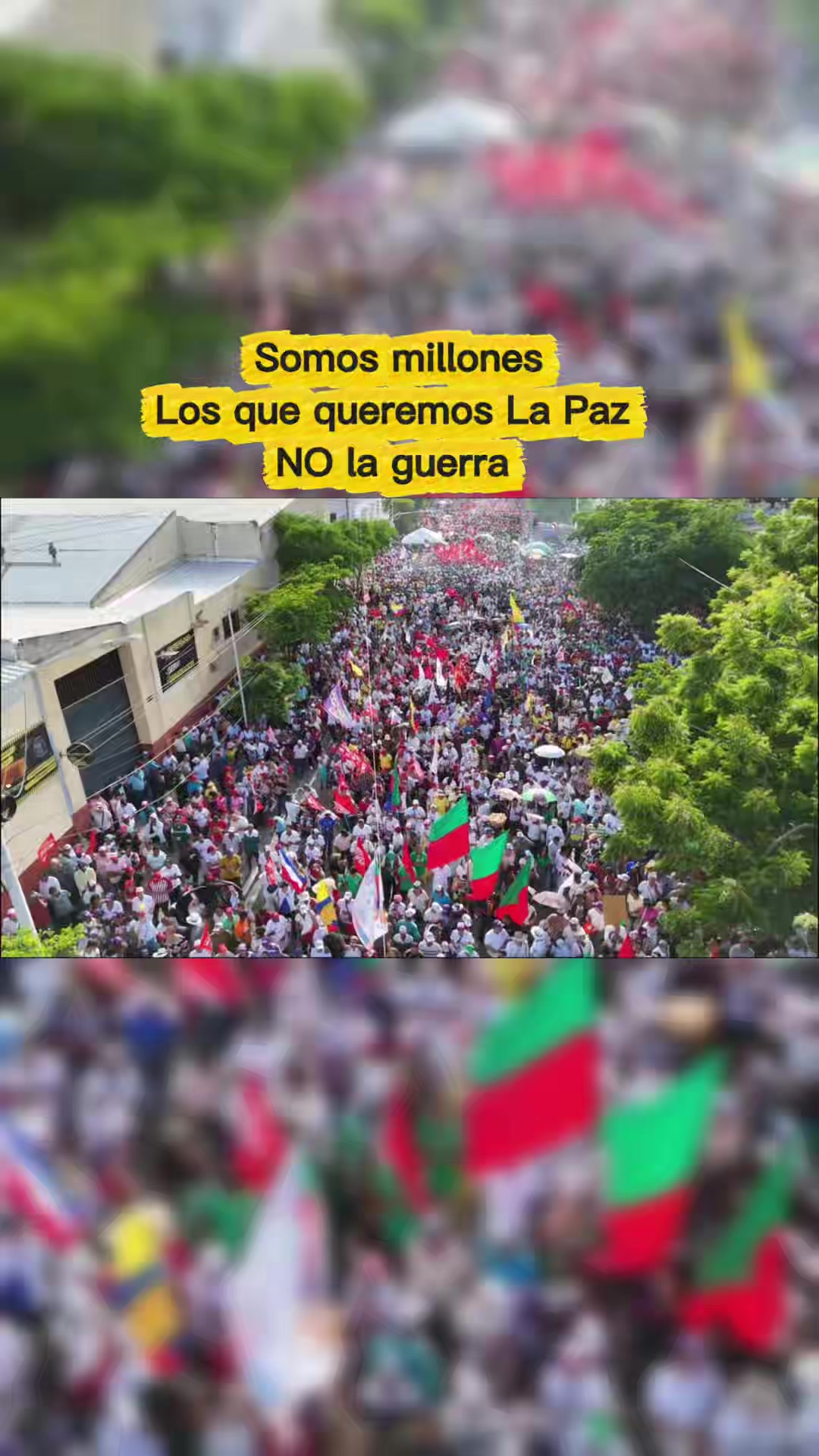 @luisabohorquezr