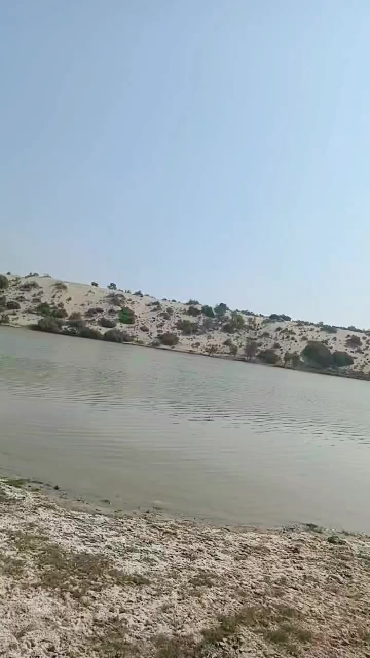 @Syed Shams Rashdi