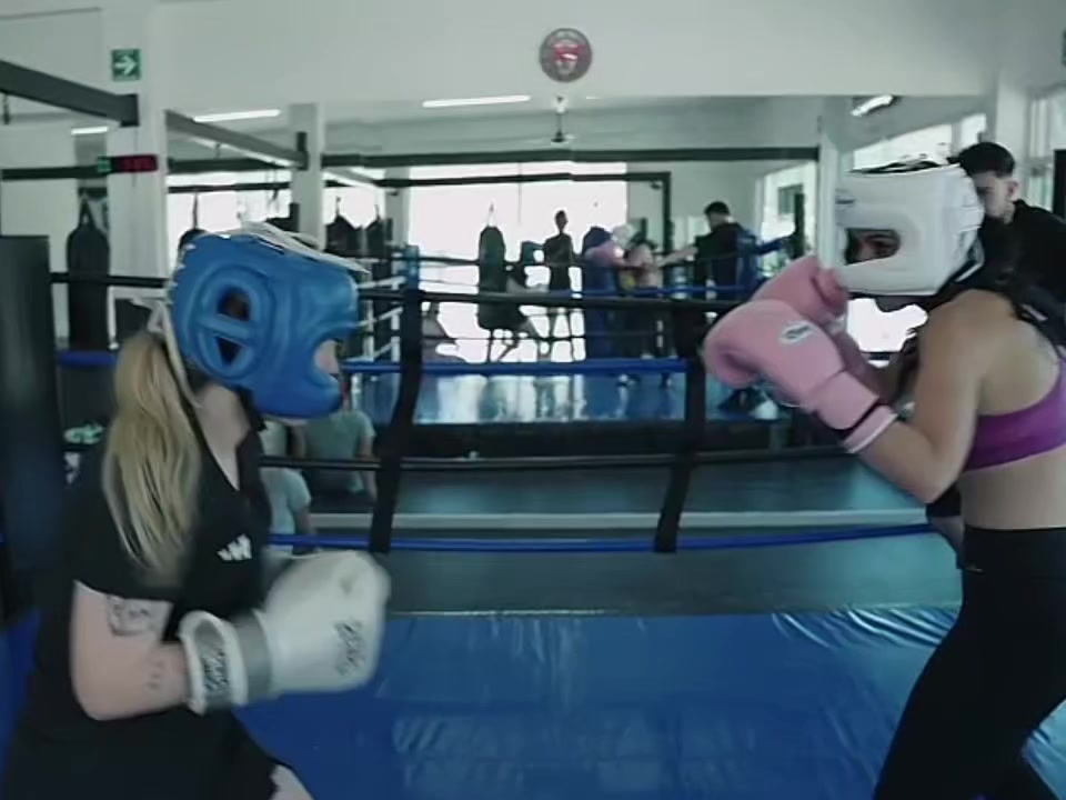 @nicogg