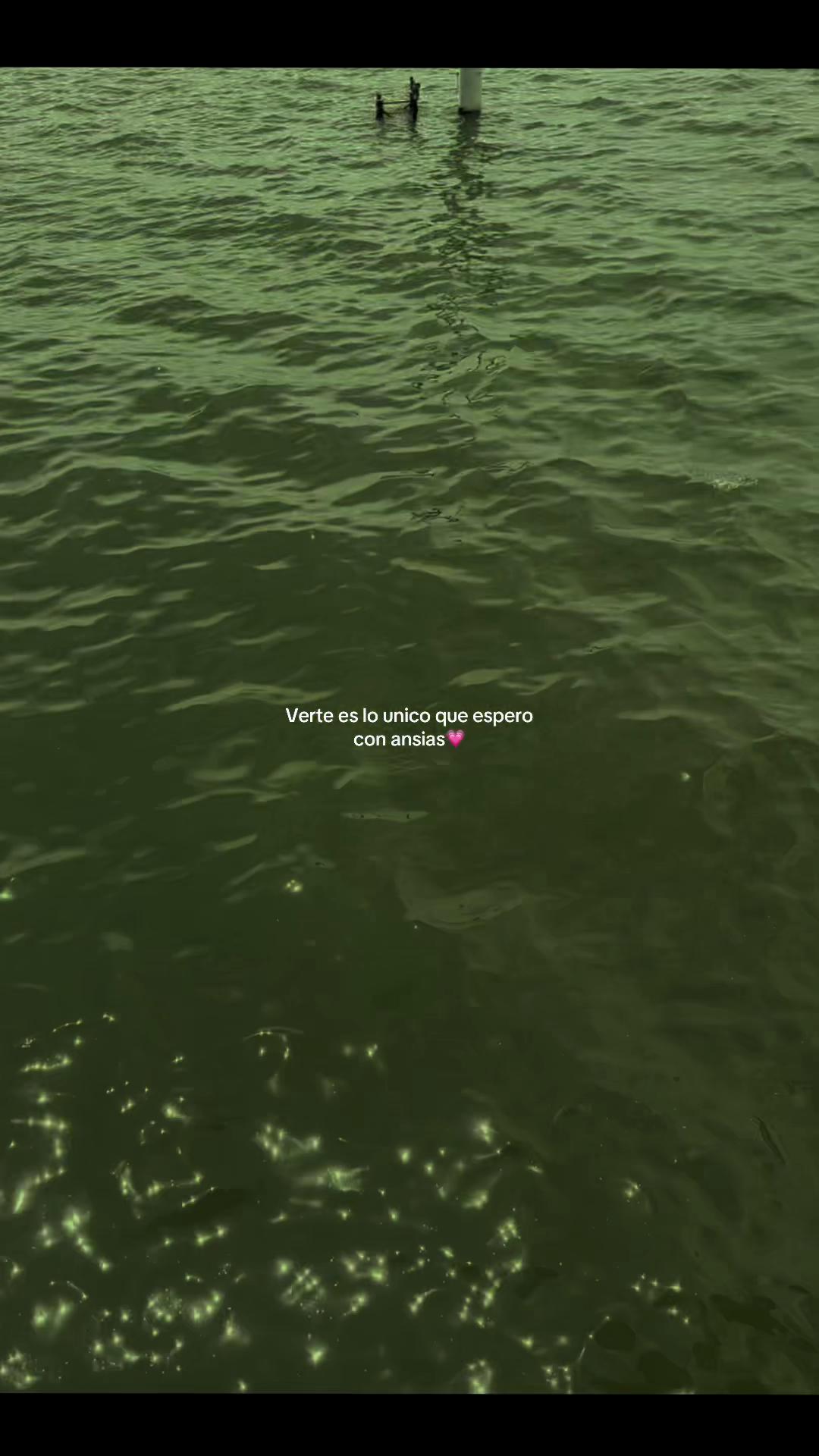 @🥀Tomás🪫