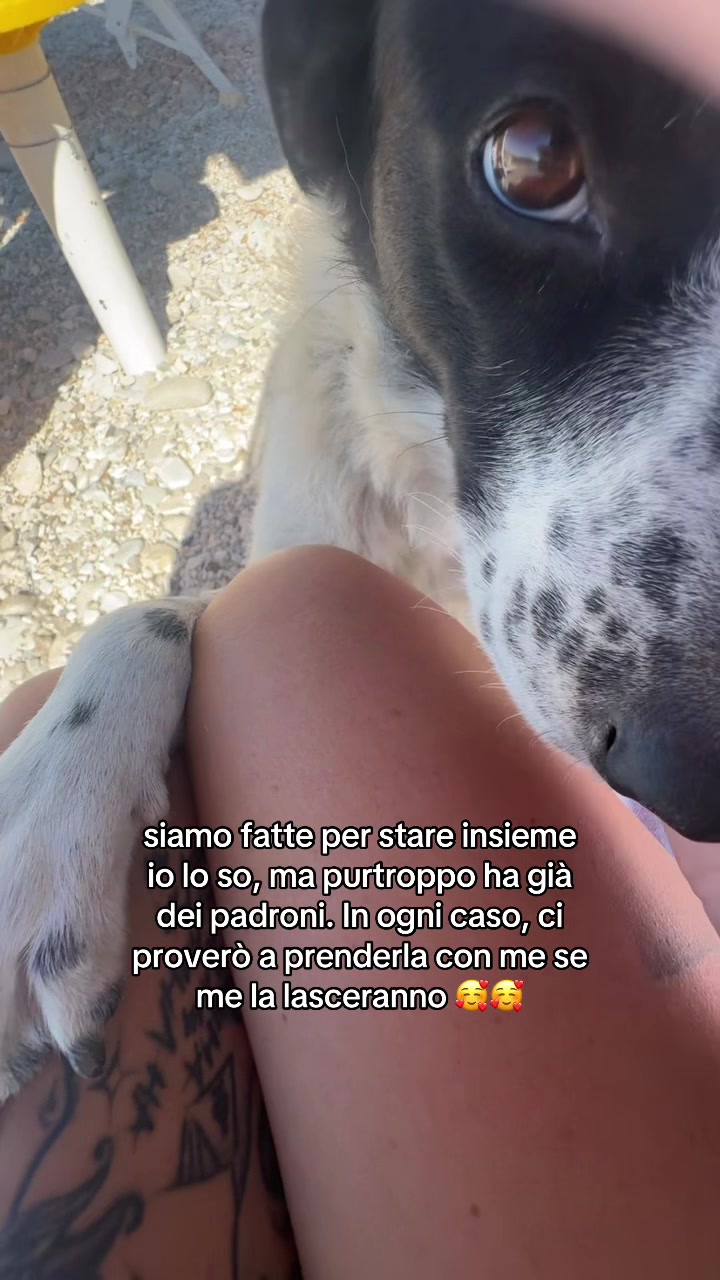 @Alessia 🙈🙉🙊