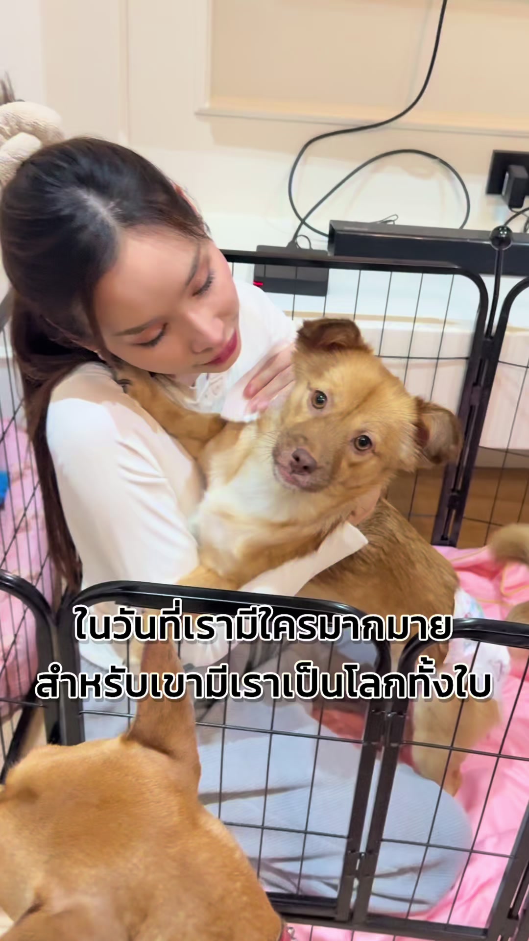 @ฟ้าบาร์บี้ช่องจริง