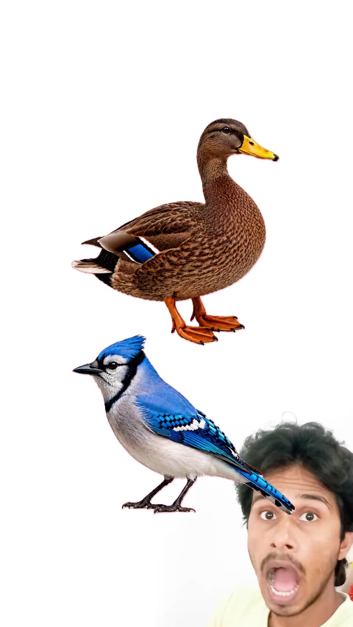 @PRAJAPATI