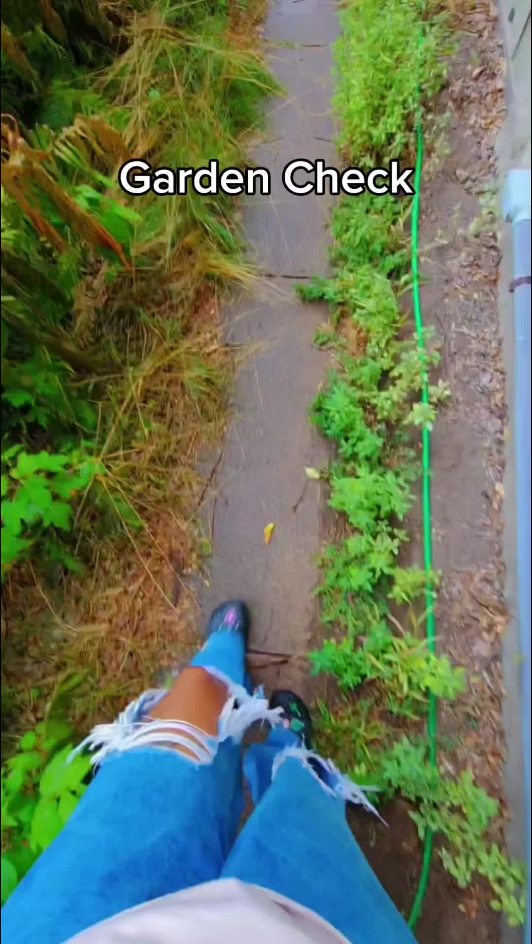 @Alicia ✨️🌱🐛