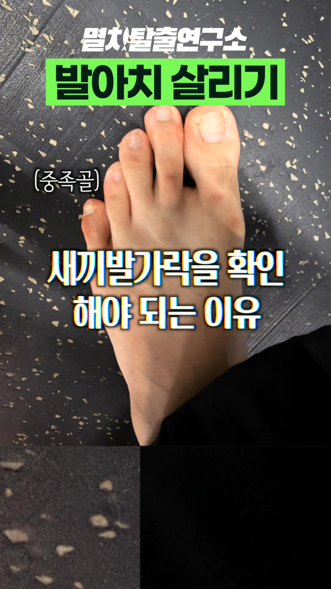@멸치탈출연구소