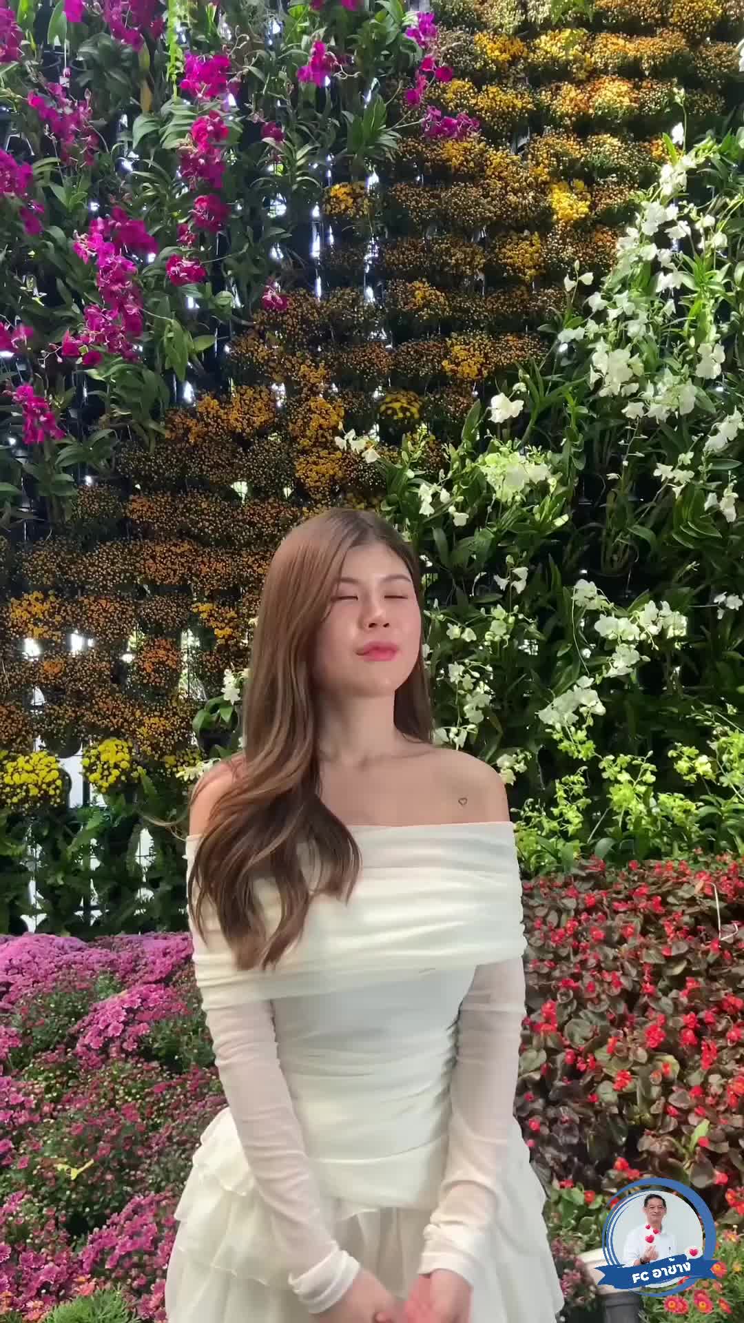 @Fc อาช้าง